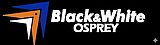Black and white Ospery